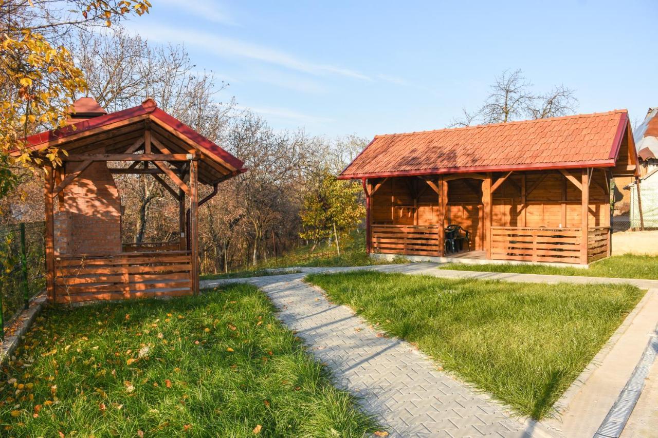 Отель Tomis House Куртя-де-Арджеш Экстерьер фото