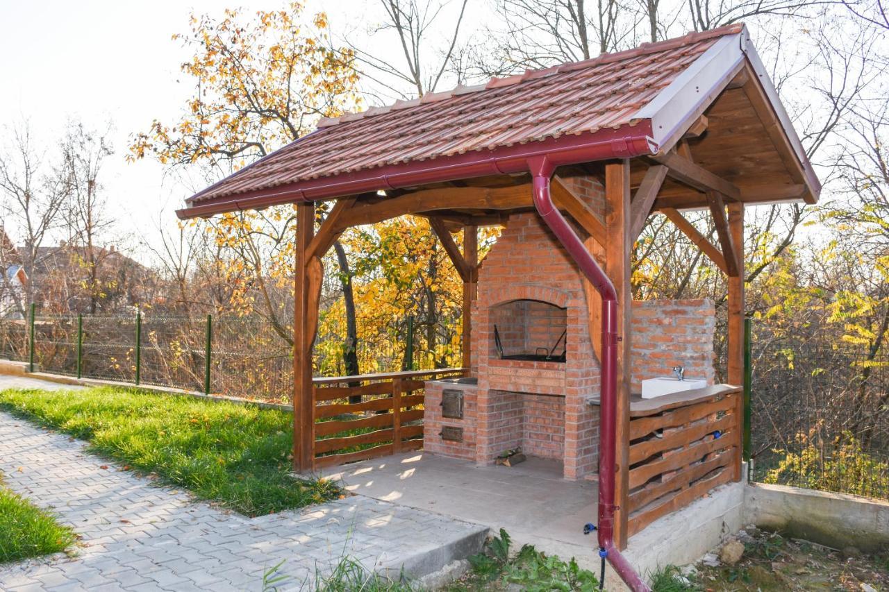 Отель Tomis House Куртя-де-Арджеш Экстерьер фото