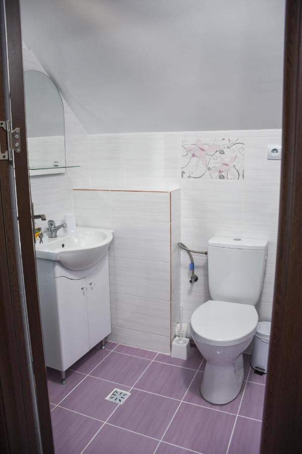 Отель Tomis House Куртя-де-Арджеш Экстерьер фото